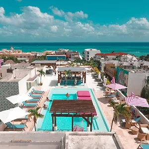 The Palm (adults Only) 4*, Playa del Carmen Mexico