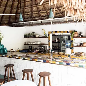 boho-ecochic-boutique-resort.allrivieramayahotels.com/